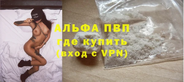 PSILOCYBIN Нягань