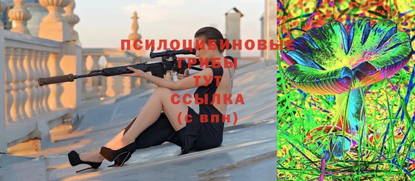 PSILOCYBIN Новозыбков