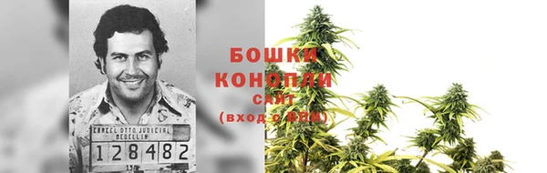 PSILOCYBIN Нягань
