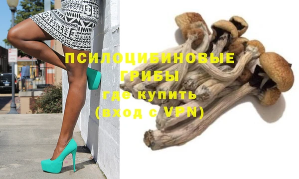 PSILOCYBIN Нягань
