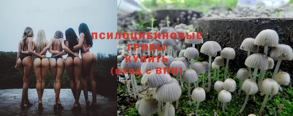 таблы Новодвинск