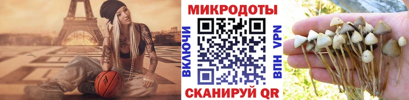 Псилоцибиновые грибы MAGIC MUSHROOMS  KRAKEN ONION  Калининск  продажа наркотиков 